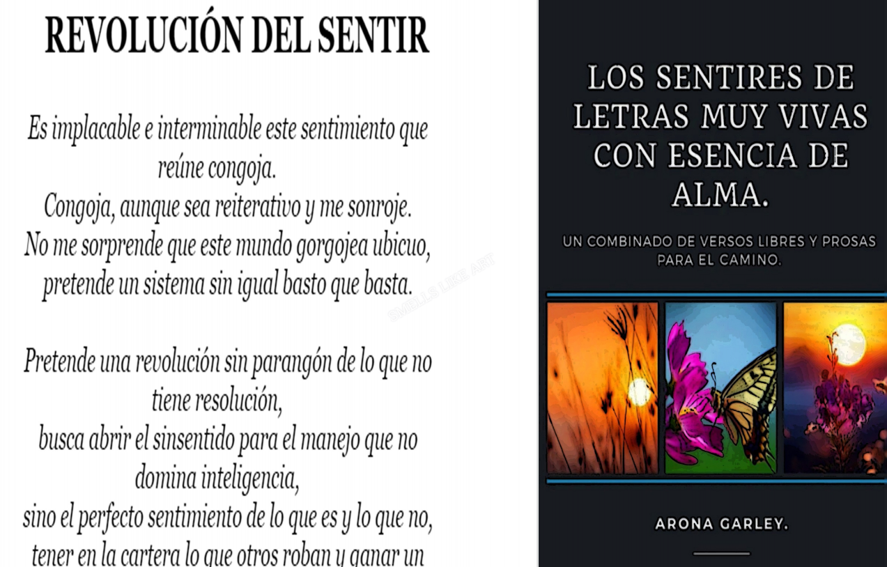 Los sentires de letras muy vivas con esencia de alma ( revolución del ...
